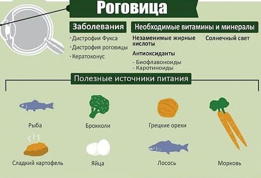 роговица глаз
