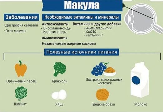 макула сетчатки